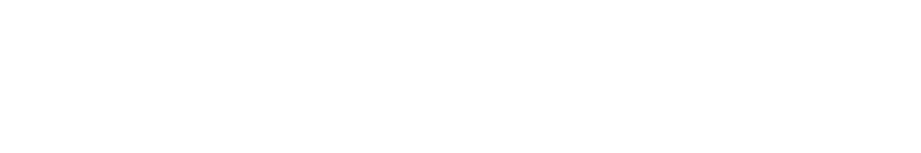 CodeVita Logo Text